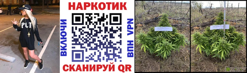 Магазин наркотиков Игра ГАШИШ  Cocaine  Экстази  Alpha PVP  Канабис  Мефедрон 