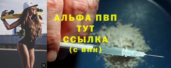 СК Белокуриха