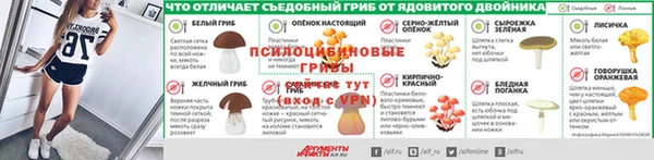 PSILOCYBIN Беломорск