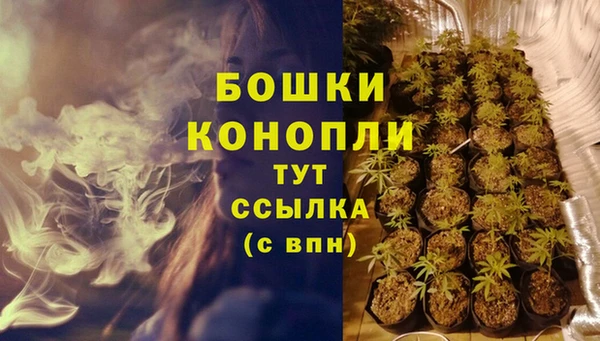 СК Белокуриха