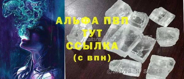 индика Покров
