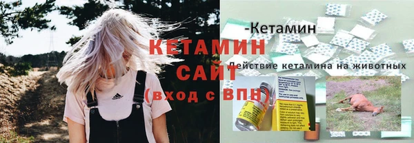 крисы Богданович