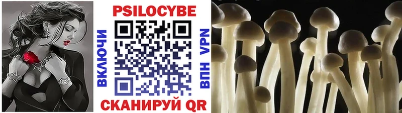 Псилоцибиновые грибы мухоморы Игра